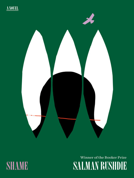 Cover image for Shame
